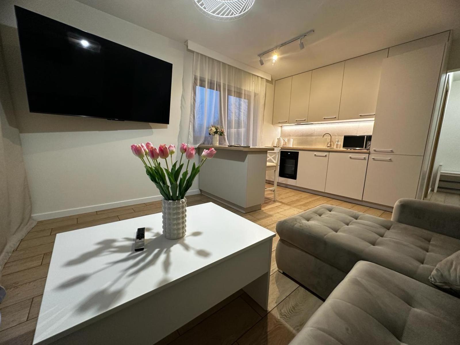 Apartamenty Biala Gran Zakopane Exterior photo